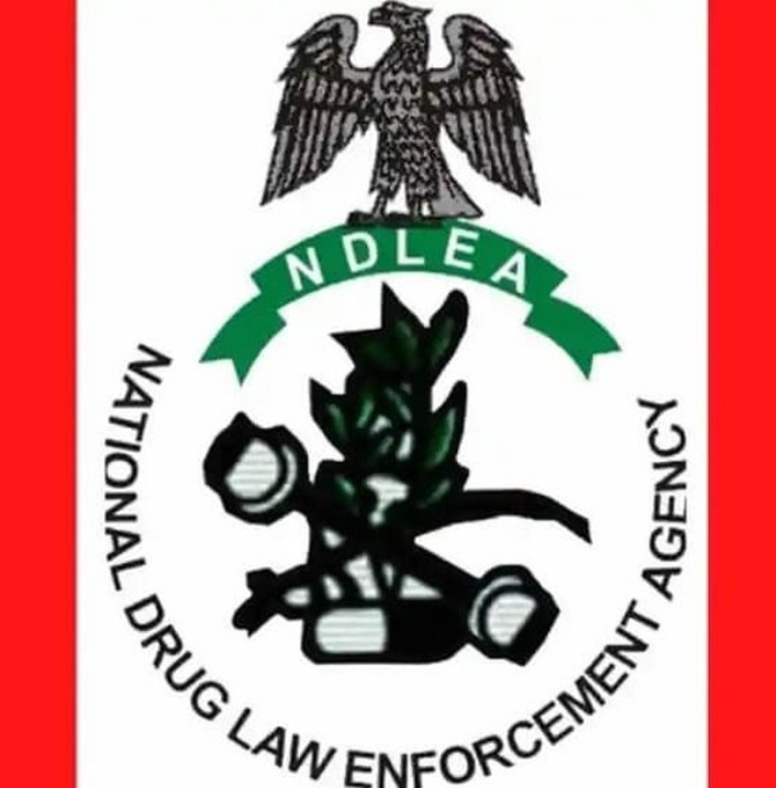 Apply Now :NDLEA Recruitment Requirements and How to Apply